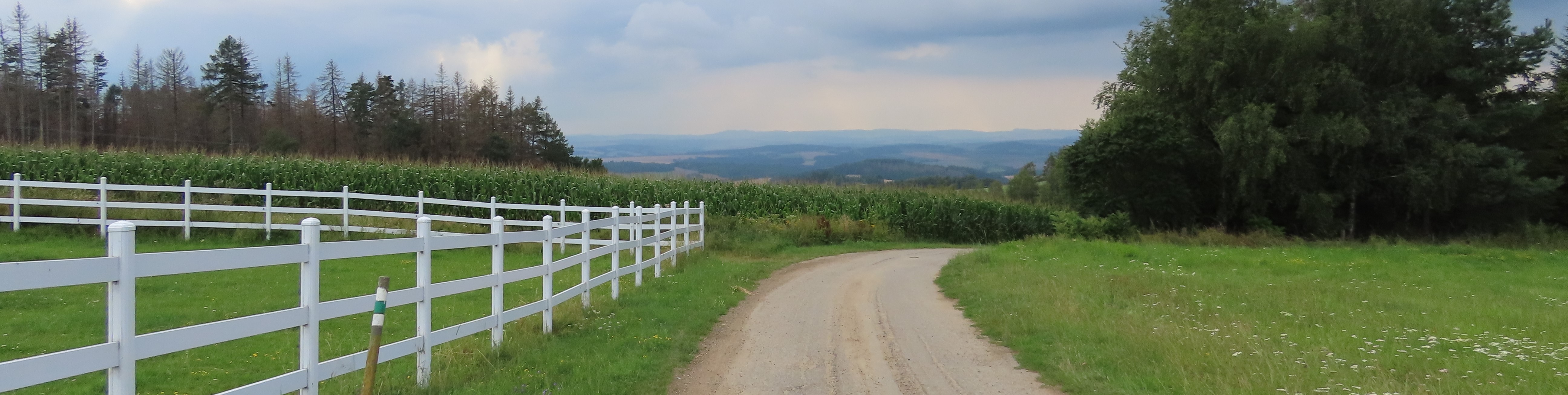 Zemědělské družstvo - hlavní obrázek